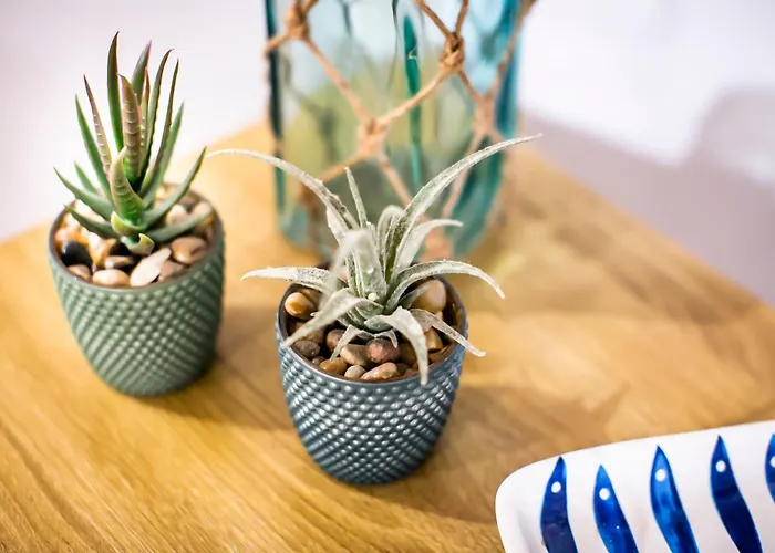 Daire Casa Mina Carate Urio