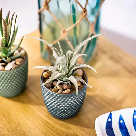 公寓 Casa Mina Carate Urio