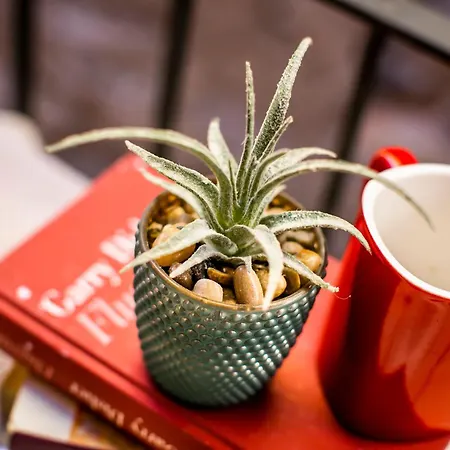 Casa Mina * Carate Urio